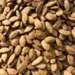Melon Seed 1/2 Kilo