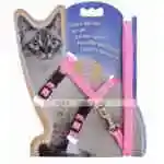 Dog Traction Rope Small