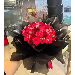 Red Pink Rose