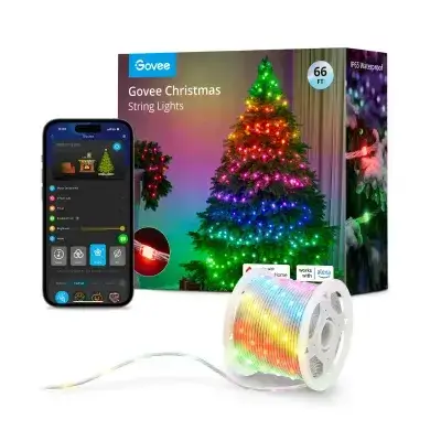 Govee String Lights 66FT 20M H70C2