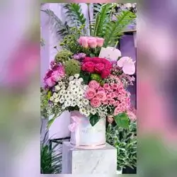 Imported Natural Flower Box
