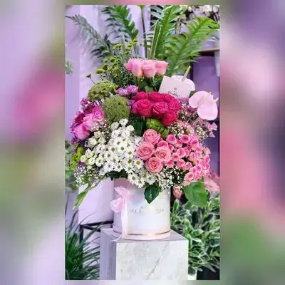 Imported Natural Flower Box