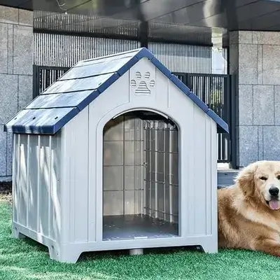 E40 Dog House (Large)