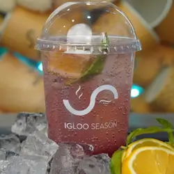 Igloo Mojito