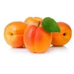 Apricot