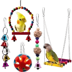 Parrot Toy