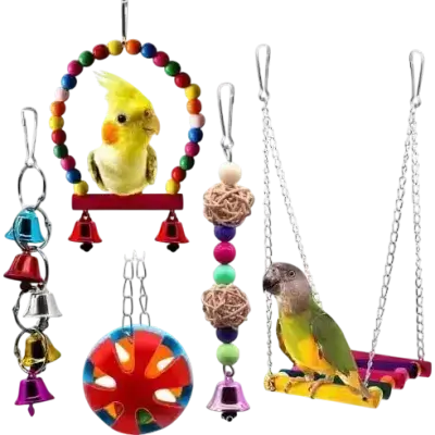 Parrot Toy