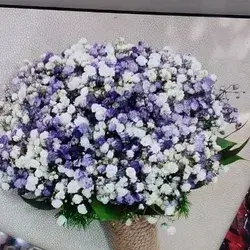 The Bride's Flower