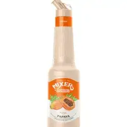 Smoothie mixer papaya