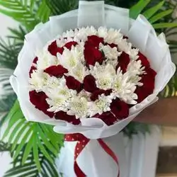 چەپکە گوڵی سروشتی گوڵی سپی داودی و گوڵی سوور