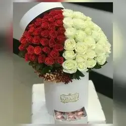 Special Imported Natural Rose Bouquet – 80 Flowers