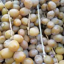 Dates  Iraqi Berhi