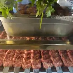 meat 