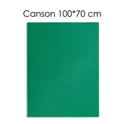 Canson Paper ( Green) 100 X 70 cm