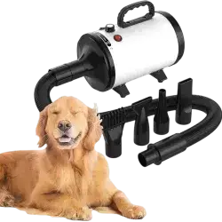 Hair Dryer