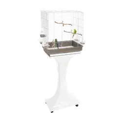 Bird Cage with Stand 