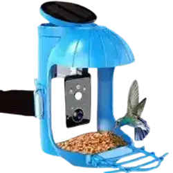 Smart Bird Feeder With Camera