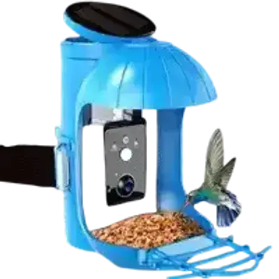 Smart Bird Feeder With Camera