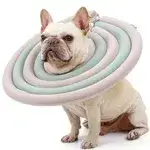Protective Collar - L