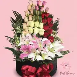 Box Flower-Colors