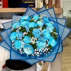 چەپکە گوڵ