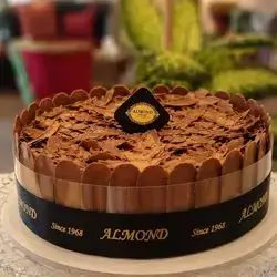Black Forest (12 Persons )
