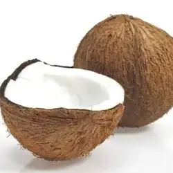 Coconut