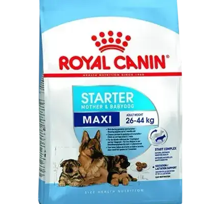 Royal Canin Maxi Starter 15kg