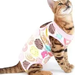 Cat Surgery Recovery Suit L