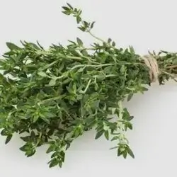 Thyme