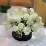 Boxes