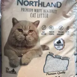 north land