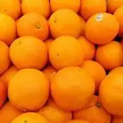 Iraqi Orange