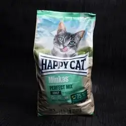 Happy Cat-Adult