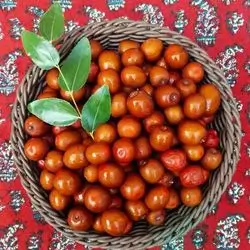 Sinji