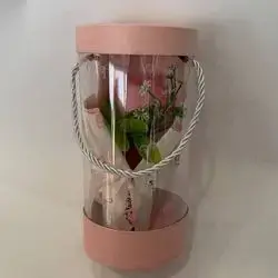 گول ناو بوكس