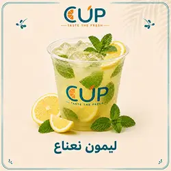 Lemon Mint Mojito