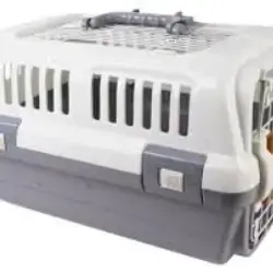 This Is A Rigid Plastic Pet Carrier. It's Used To Safely Transport Small Pets, Such As Kittens Or Puppies. Typically Made Of Plastic Or Metal, It Features Ventilation Holes To Ensure Air Circulation. It Has A Door Or Opening For Easy Access By The Pet. It's An Essential Tool For Vet Visits, Travel, Or Moving Pets To A New Home.