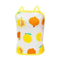 Pet Clothes