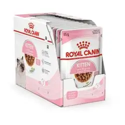Kitten 12Pcs