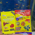Fish Food (Siso)