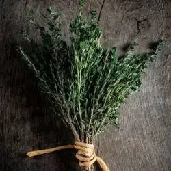 Thyme Leaf