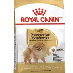 pomeranian adult 3kg 