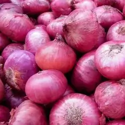 پیاز مۆر