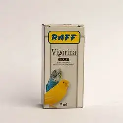Raff - Cockatiels & Parakeets With Fruit