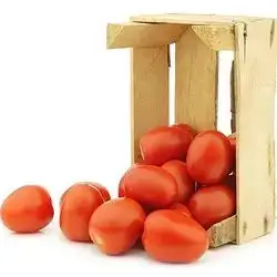 tomatoes