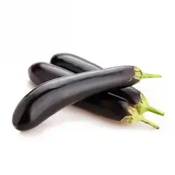 Eggplant