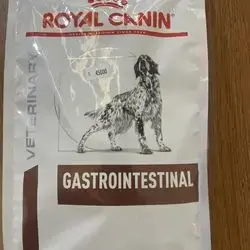 Gastrointestinal