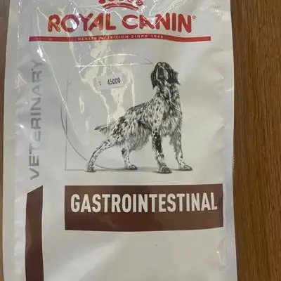 Gastrointestinal