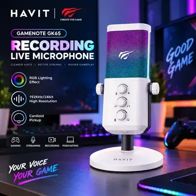HAVIT RECORDING LIVE MICROPHONE GAMENOTE GK65
